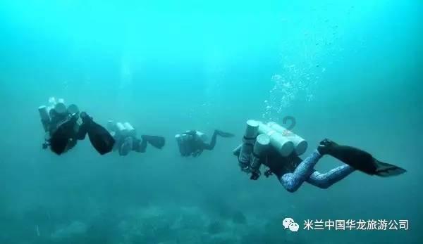 厉害了我的巧虎7