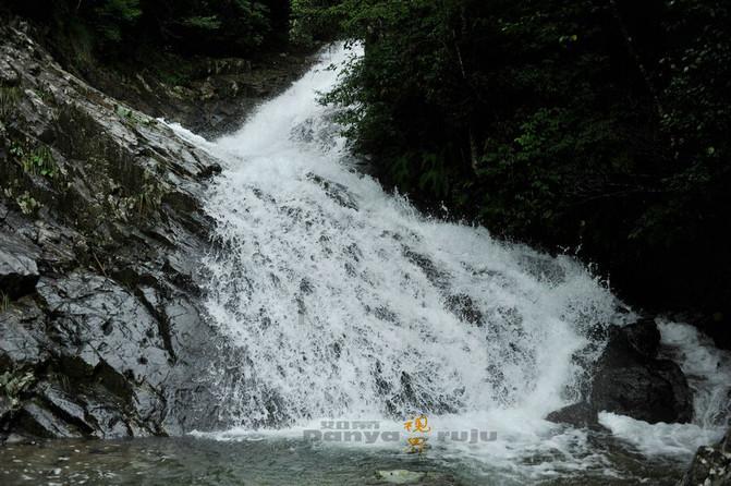 老山羊救援
